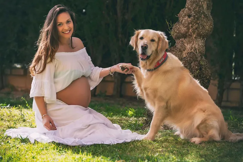 Sesión de embarazo: futura madre sentada en el césped junto a su golden retriever