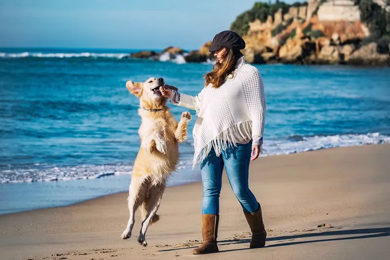 Mujer jugando con su perro, que salta, en una playa de Cádiz