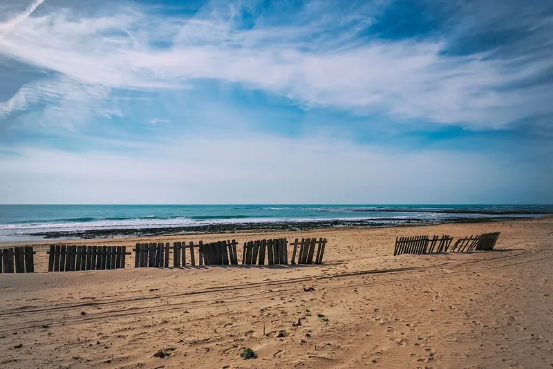 Restos de una empalizada de madera en una playa abierta bajo cielo nublado